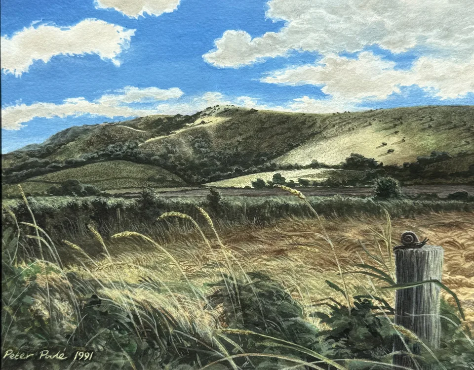 View of the South Downs by Peter Poole, 1991. An unnamed landscape painting on paper.