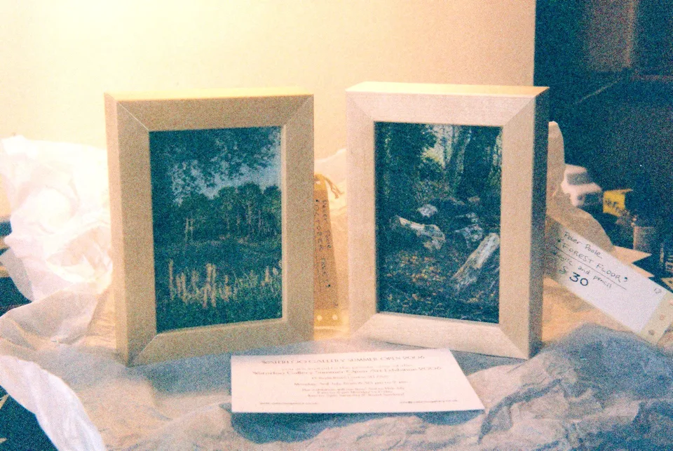 Images of Friston Forest by Peter Poole.
