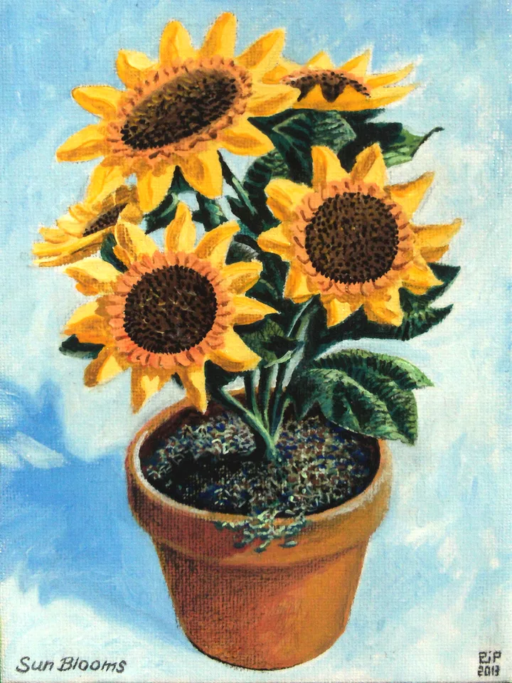 Sun Blooms by Peter Poole.