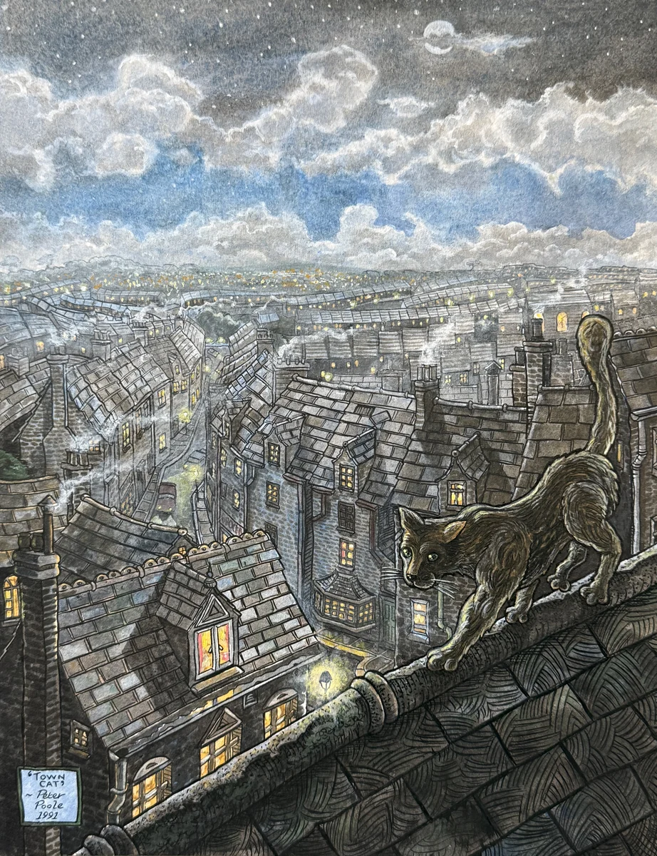 The Town Cat by Peter Poole.