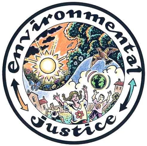 Environmental Justice by Peter Poole.