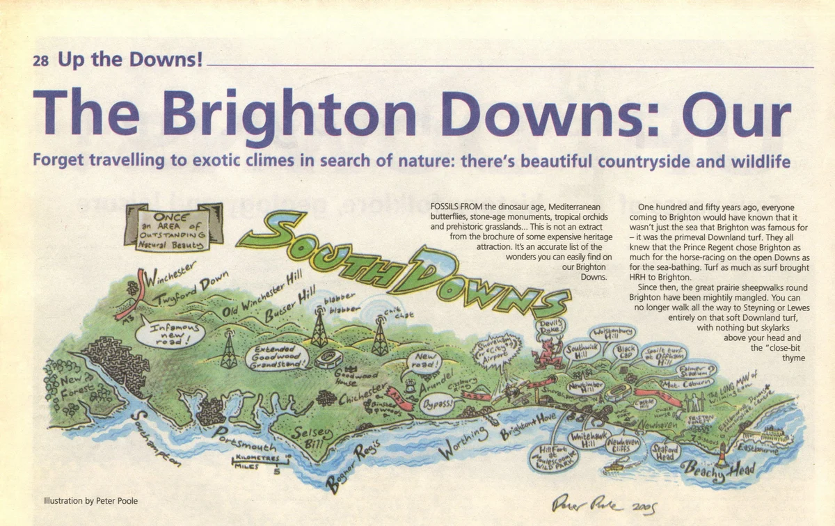 The Brighton Downs by Peter Poole.